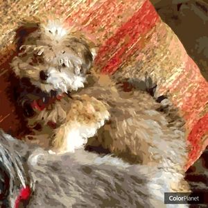 Meet your Posher, Karen